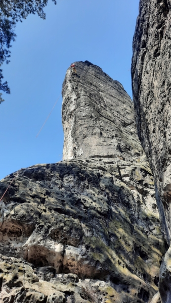 Westlicher Feldkopf Krümelkante