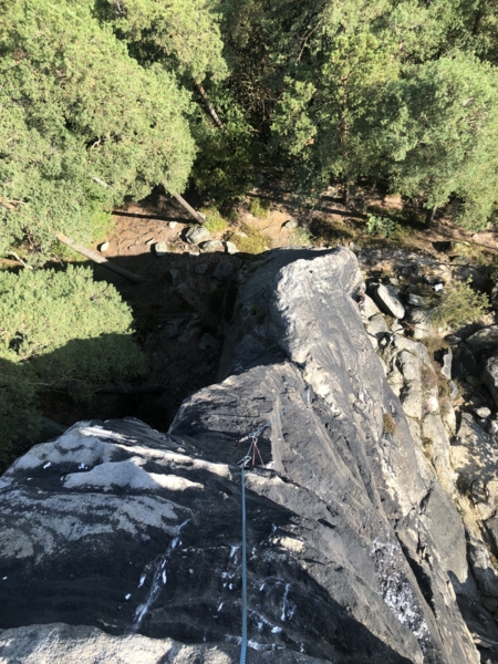 Förster Neue Möglichkeit