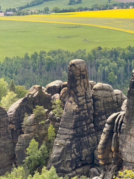Schrammtorwächter Nordwand (auch direkt)