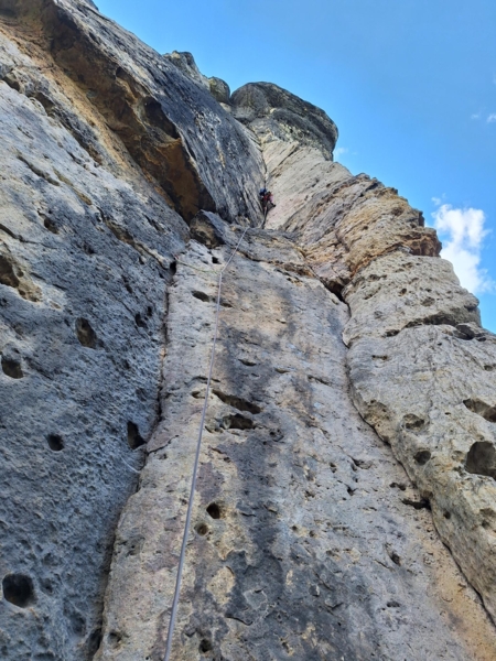 Goldstein Wahnsinnsverschneidung