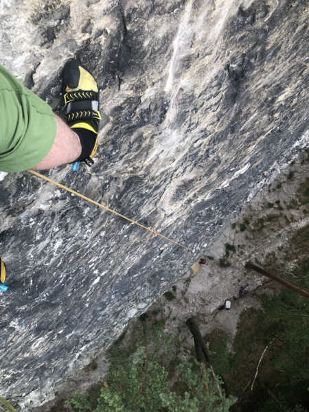 Östlicher Feldkopf Fokus