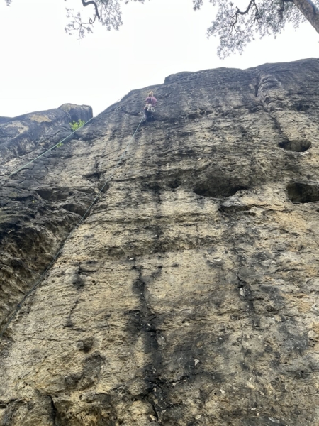 Schwarzwildturm Borste