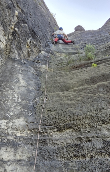 Honigstein Zauberrippe