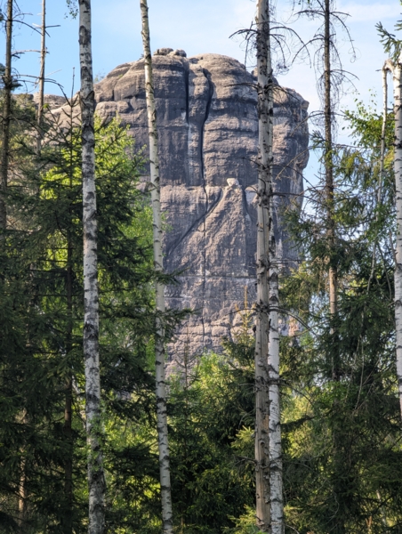 Falkenstein Südriss direkt