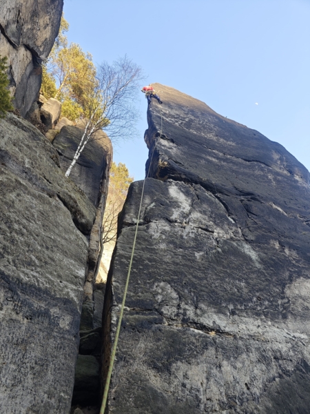 Heringsgrundscheibe Klein aber fein