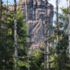 Falkenstein Südriss direkt